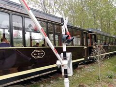 -合肥滨湖国家森林公园