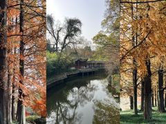 -采石矶景区