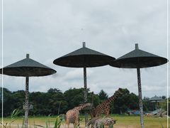 -宁波野生动物园