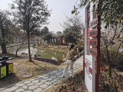 -鹅湖玫瑰文化园