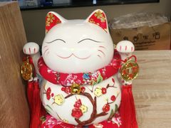-宝鸡东道花鸟鱼虫市场(吉利花园商场店)