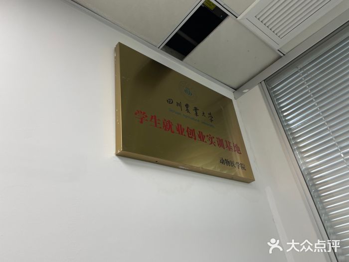 美联众合动物医院(·中兽医·疑难杂症·严家桥分院)图片