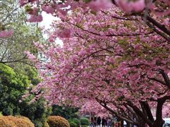 -唐城墙遗址公园