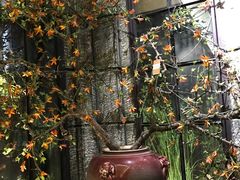 -范设计花园餐酒咖·中西餐·咖啡厅·酒馆