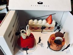 -BLACKSWAN黑天鹅(环球店)