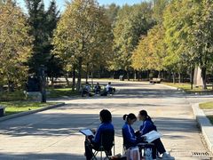 -长春世界雕塑园冰雪艺术天地