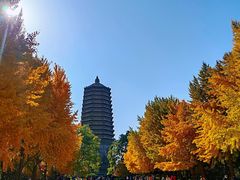 -玲珑塔公园