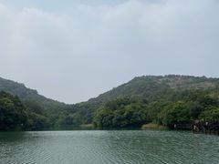 -白马涧龙池景区