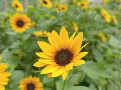 -牛市口盲人按摩