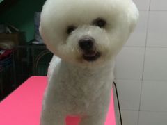 -喵宠乐园·撸猫互动·猫舍