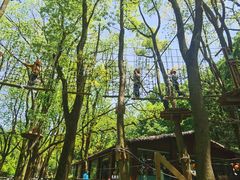 -WeLope紫金山探险公园