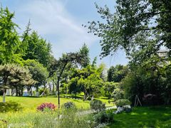 -逍遥镇刘相五胡辣汤豆沫馆(康复中街店)