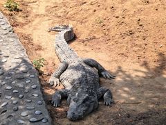 -石家庄市动物园