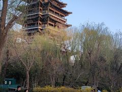-湖畔鲁菜·二十年老字号餐厅(大明湖店)