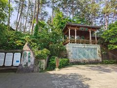 -千岛湖东南湖区