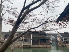 -乌镇西栅景区