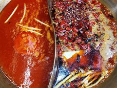 养颜番茄锅-沸炉重庆老火锅(军事博物馆店)