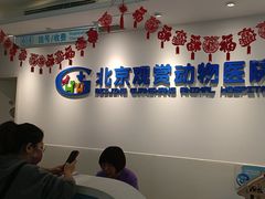 -北京观赏动物医院·24小时大型综合·猫专科·异宠专科