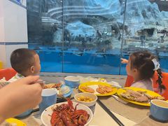 -帝企鹅自助餐厅•儿童岛•真企鹅(长隆企鹅酒店)