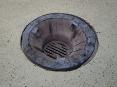 -鸿渡渔庄·特色鸭咀鱼