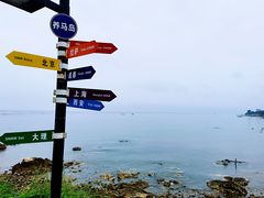 -养马岛旅游度假区