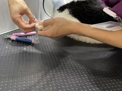 -宠颐生动物医院·小陆分院