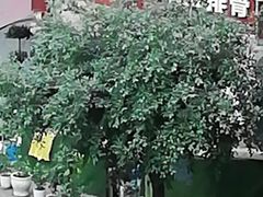 -李四哥太安鱼食府