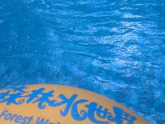 -苏州乐园森林水世界