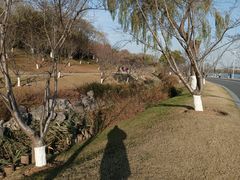 -羊山湖公园