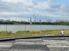 -海珠湖公园