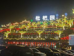 -枇杷园食为鲜火锅(南山店)