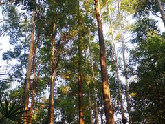 -南岗山公园