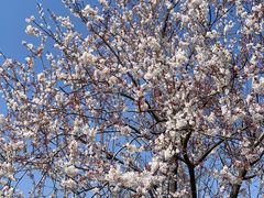 -凤凰沟景区
