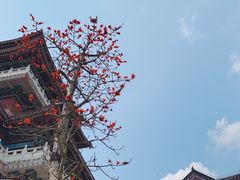-高榜山景区