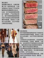 -悠巷形象设计