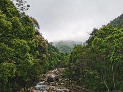 -姑婆山旅游区