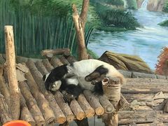 -青藏高原野生动物园