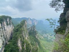 -蝶舞清江·恩施云顶景区(黄鹤峰林)