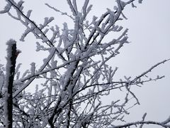 -太子岭滑雪场