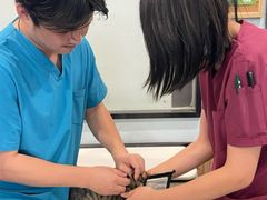 -宠颐生斯嘉宠物医院·急重症·心内科(谷阳北路分院)