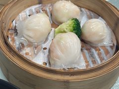 -春满园·早茶·粤菜·宴会(喜宴店)