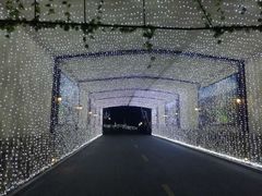 -浙江安吉JW万豪酒店·万豪中餐厅