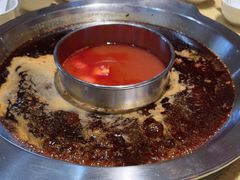 -田鸭肠·非遗火锅(彭州店)