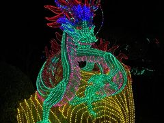 -南宫五洲植物乐园