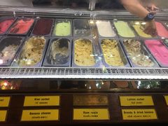-莓园冰淇淋店