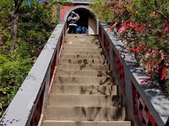 -辛安庄鸡鸣山景区