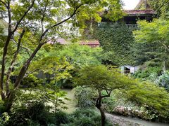 -中国茶叶博物馆(双峰馆区)