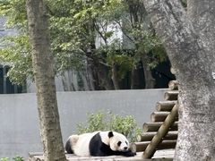 -柳州市动物园