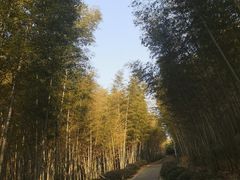 -游子山休闲旅游区