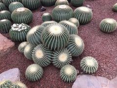 -南通洲际绿博园